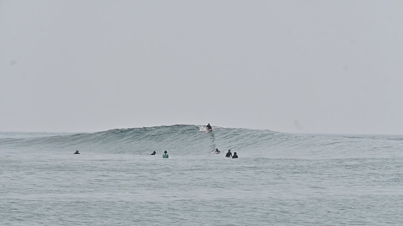 ליינאפ ריק באנדמן